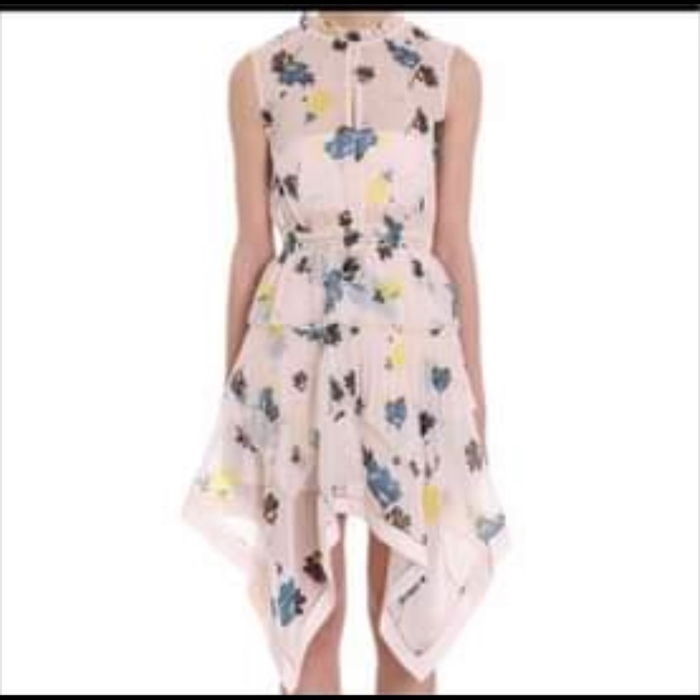 Self Portrait Chiffon Floral Dress